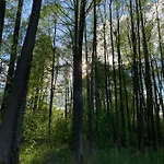 Nad Sniardwami Semesterbostad Glodowo (Pisz)