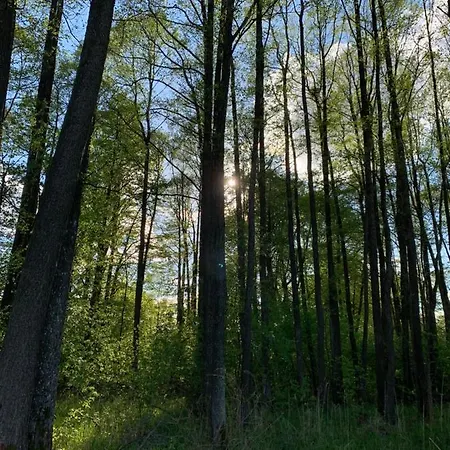 Nad Sniardwami Holiday home Glodowo (Pisz)